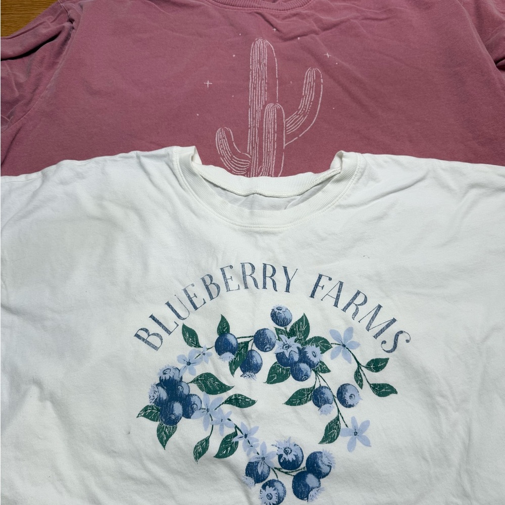 Torrid White and Pink Short Sleeve Tees